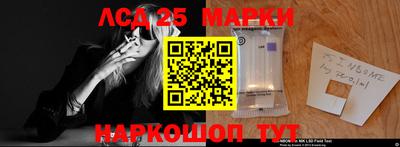 гидропоника Можга