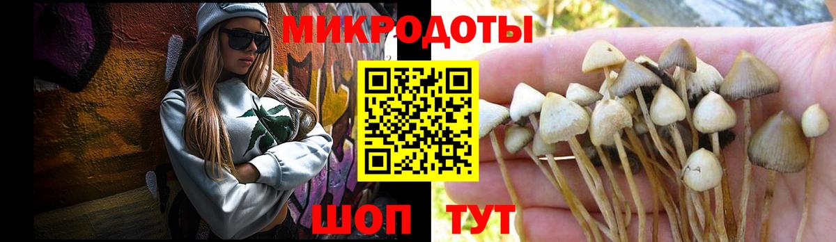 Псилоцибиновые грибы Magic Shrooms Бугуруслан